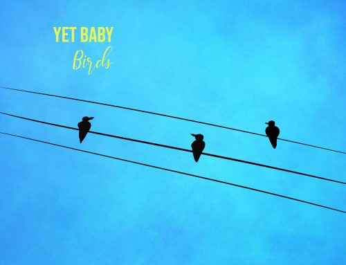 YetBaby “Birds”, nuevo single instrumental
